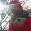 La Neve Bobble hat with ear flaps - Image 5