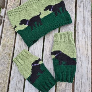 Labrador Set